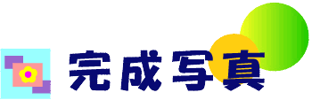 ʐ^