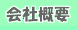 ЊTv